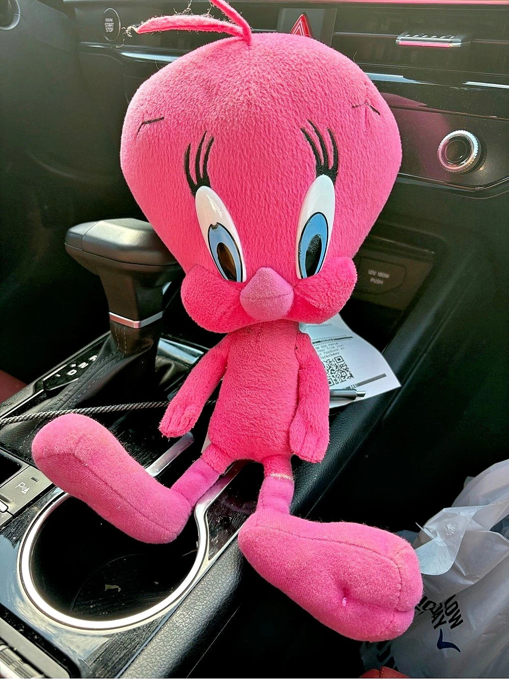 Pink Vintage Tweety Bird